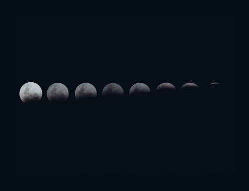 CÓMO UTILIZAR LAS FASES DE LA LUNA PARA REALIZAR ACTIVIDADES